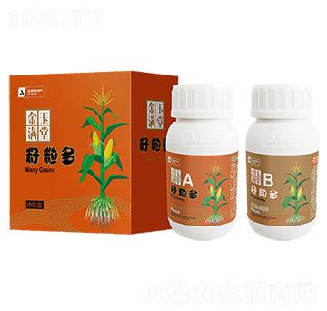 玉米專用高產(chǎn)組合-金玉滿堂-籽粒多-艾樂(lè)美