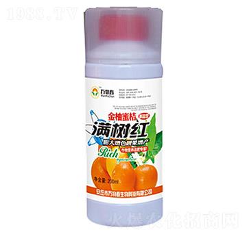 金柚蜜桔滿樹紅-萬物春