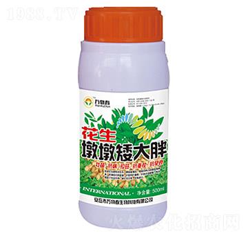 500ml�����նհ�����-�f�ﴺ