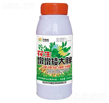 1000ml�����նհ�����-�f�ﴺ