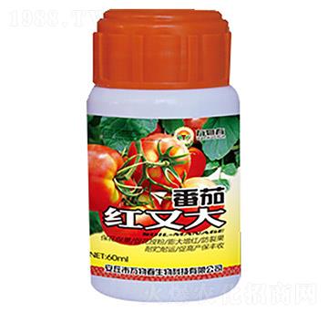 ���Ѽt�ִ�-�f�ﴺ