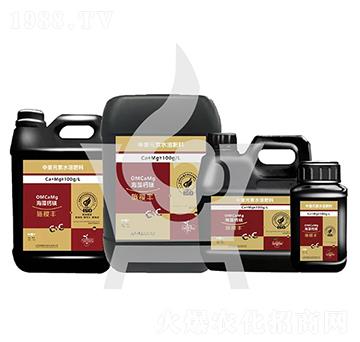 �����}�V-ʩ��S-���ηʘI(y��)