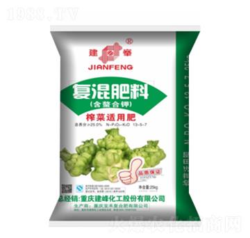 �ͻ����-����