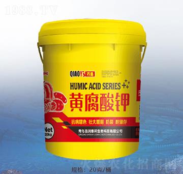 �S�����-�ٝ�(r��n)�ݰ�