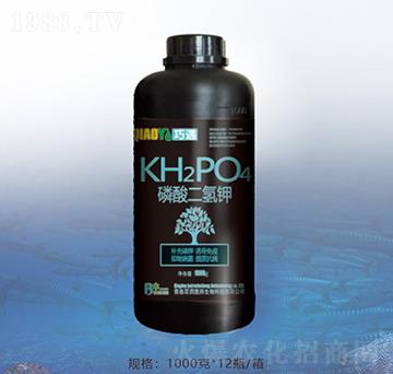 ��������-�ٝ�(r��n)�ݰ�