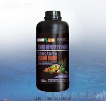 ���������L(zh��ng)ЧҺ��-�ٝ�(r��n)�ݰ�