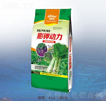 ��⛄�(d��ng)��-�ٝ�(r��n)�ݰ�