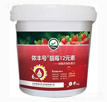 靚莓12元素-儂豐號(hào)-智慧沃