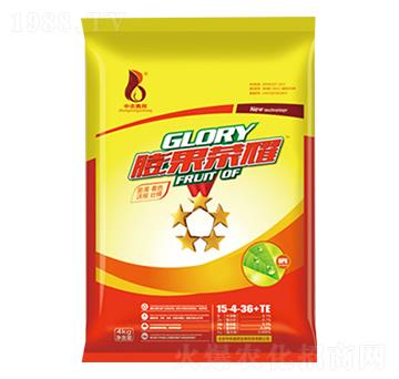 ����sҫ15+4+36+TE-���r(n��ng)�W��