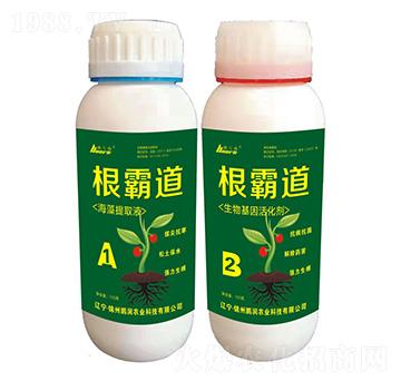 根霸道-鵬潤農(nóng)業(yè)