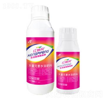 氨基酸高磷高鉀水溶肥-紅披風(fēng)-連象生物
