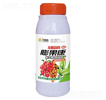 ������֦�����-�f�ﴺ