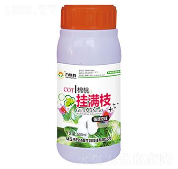 ���Ғ�M֦-�f�ﴺ