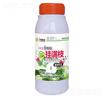 1000ml���Ғ�M֦-�f�ﴺ