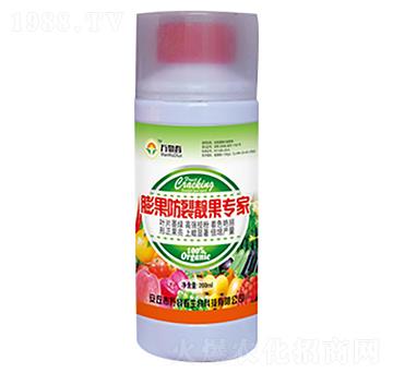 200ml��������n������-�f�ﴺ