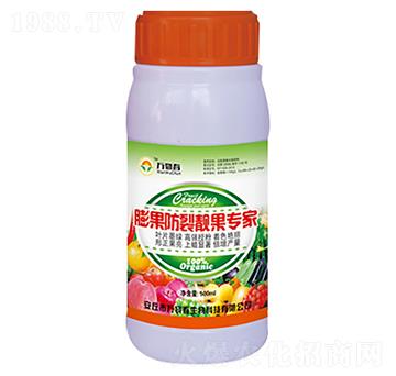 500ml��������n������-�f�ﴺ