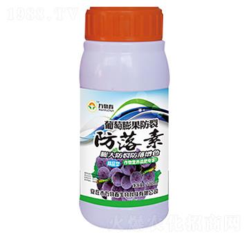 500ml����������ѷ�����-�f�ﴺ