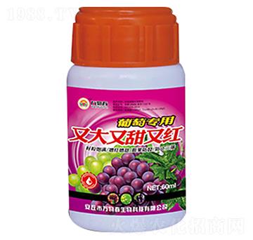 60ml�����ִ������ּt-�f�ﴺ