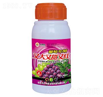 100ml�����ִ������ּt-�f�ﴺ