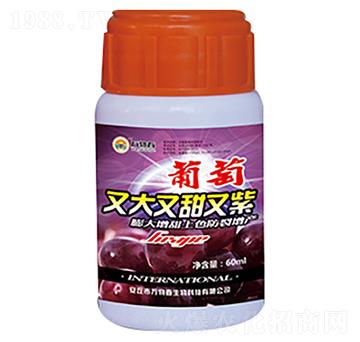 60ml�����ִ���������-�f�ﴺ