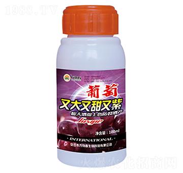 100ml�����ִ���������-�f�ﴺ