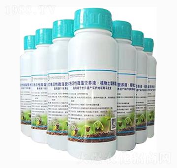 小麥、玉米、水稻專用微藻營養(yǎng)液·土壤改良液-阿爾格