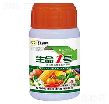 ����1̖(h��o)-�f�ﴺ