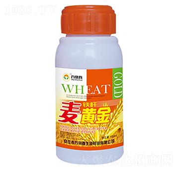 100ml�F�U���S��-�f�ﴺ