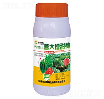 500ml����������������-�f�ﴺ