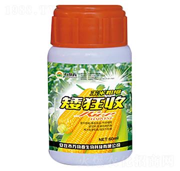 ���״ֿs������-�f�ﴺ