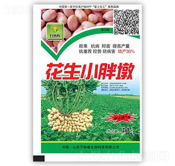 花生小胖墩-萬物春