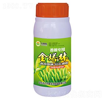 香蕉專用金塔林-萬物春