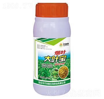 500ml煙葉大葉寶-萬物春