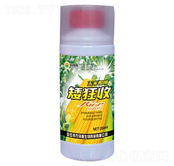 200ml玉米粗縮矮狂收-萬物春