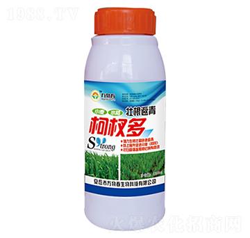 1000ml壯根返青柯杈多-萬(wàn)物春