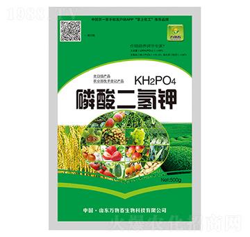 ��������-�f�ﴺ