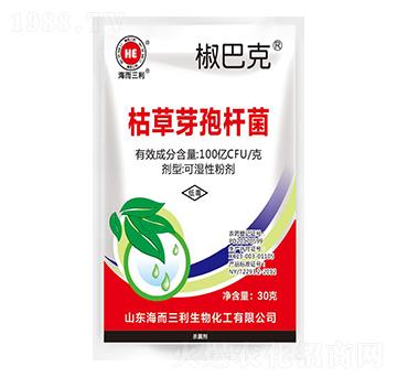 �ݲ�ѿ�ߗU��-���Ϳ�-��������