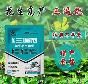 花生高產(chǎn)套餐-花生三遍飽-田小超