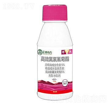 5%高效氯氟氰菊酯-千火-有方作物