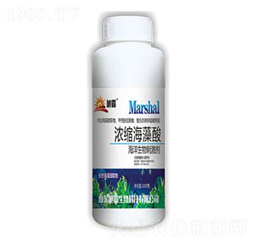 濃縮海藻酸-旭霸生物