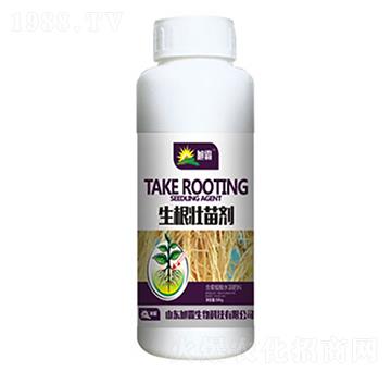 生根壯苗劑-旭霸生物