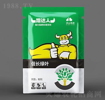 促長(zhǎng)綠葉葉面肥-增達(dá)人-海源生物