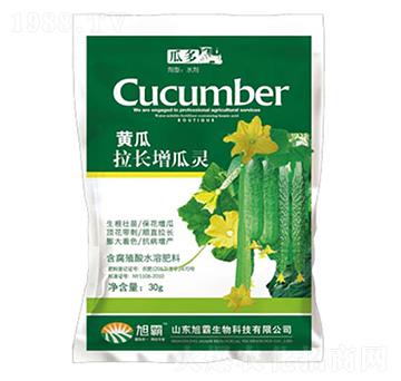 �S�����L(zh��ng)�����`-�������