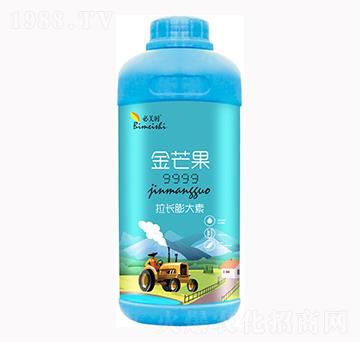 ��â�����L�����-�����r(sh��)-�f���r(n��ng)��