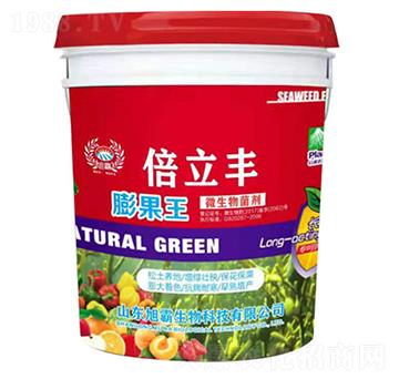 �����-�����S-�������