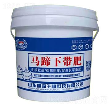 �R������-�������