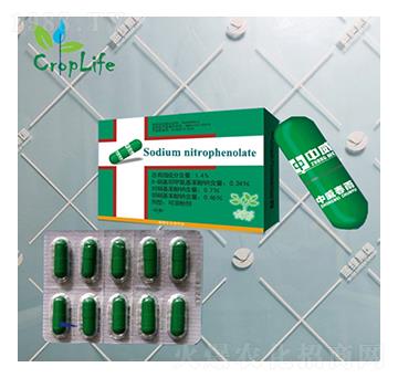 春雨1號（膠囊）-愛普斯化工