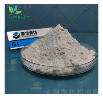 吲哚丁酸-愛普斯化工