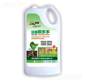 ��������-�������