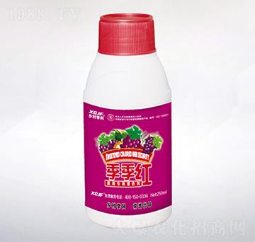 ���ь�����ɫ��-�����t-�l(xi��ng)�弾�L